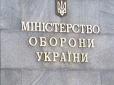 Співробітник міністерства оборони України Тетяна Баранська звинуватила волонтерів у війні