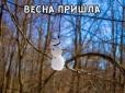 Минула третя зима, а українці так і не замерзли: В мережі святкують початок весни (фото)